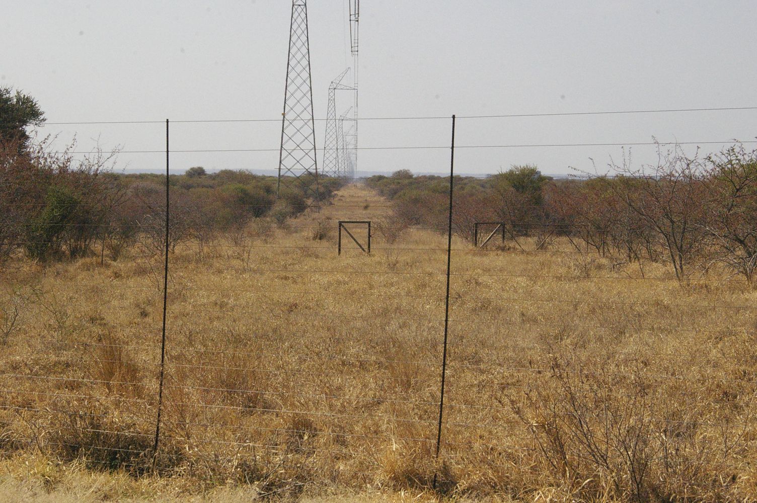 Mechanical chemical bush clearing for a power utility